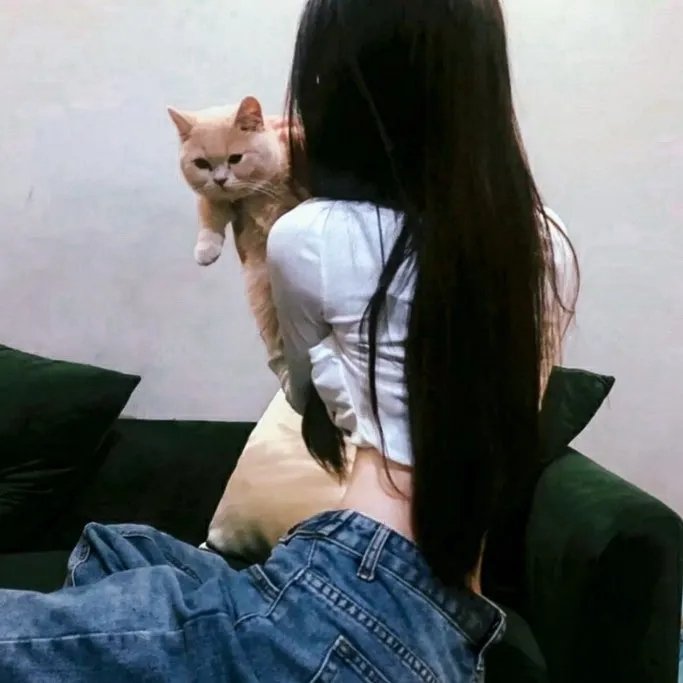 拯救林肯
